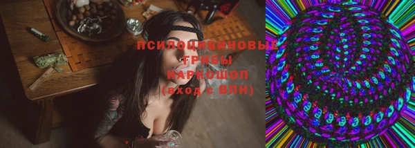 2c-b Тобольск