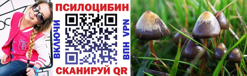 Купить закладки  Ипатово  Псилоцибиновые грибы Magic Shrooms 